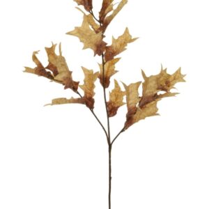 Dried Touch Winter Autumnal Branch - Honey