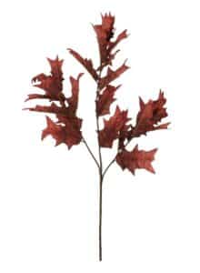 Dried Touch Winter Autumnal Branch - Red