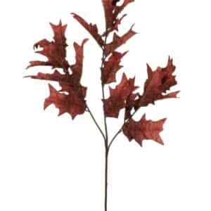 Dried Touch Winter Autumnal Branch - Red