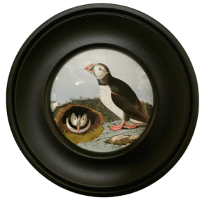 Puffin Print in Round Frame 25cm